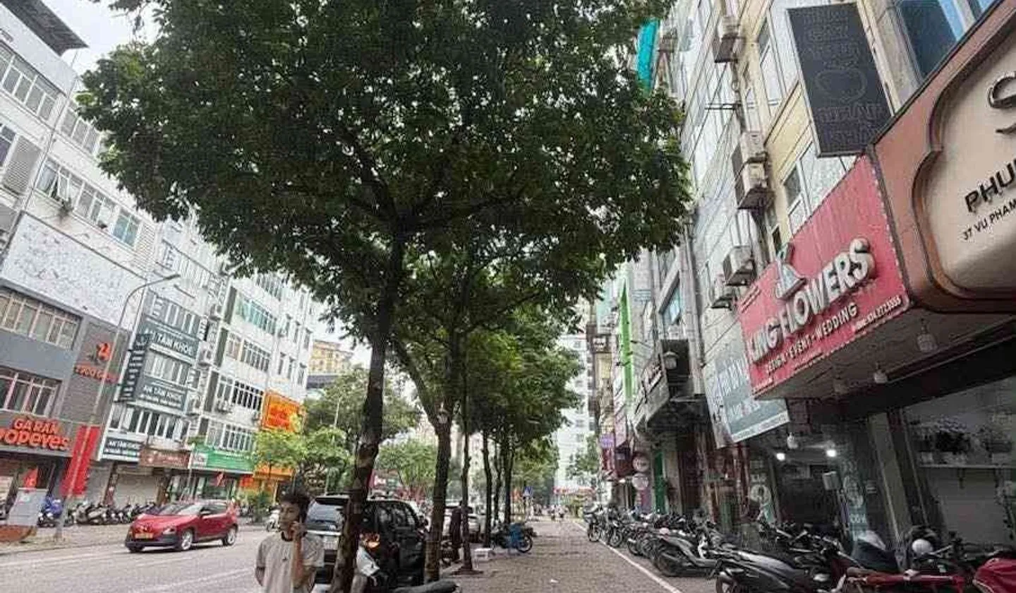 Nhà phố 7 tầng thang máy trên phố thương mại đắt giá Quận Cầu Giấy... Bán nhà mặt phố tại Cầu Giấy, Hà Nội 01