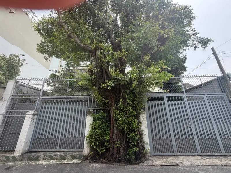 Bán nhà riêng mặt tiền rộng 10m, Trường Chinh, 10x21m... Bán nhà riêng tại Tân Sơn, Hồ Chí Minh 01