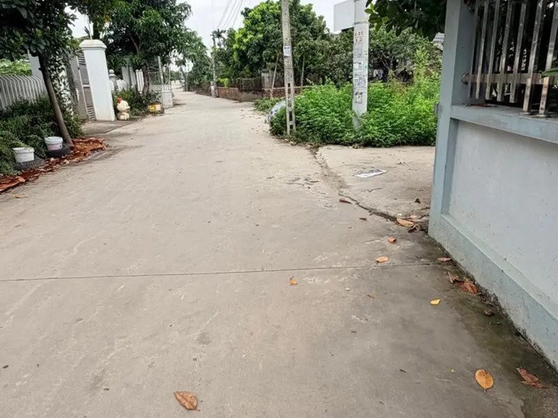 Bán đắt 100m2,tại đông tảo nam... Bán đất tại Hoàn Long, Hưng Yên 01