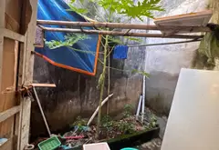 Cơ hội vàng sở hữu nhà mặt phố Nguyễn Bình, Nhà Bè giá nhỉnh 10 tỷ... Bán nhà mặt phố tại Nhà Bè, Hồ Chí Minh 10