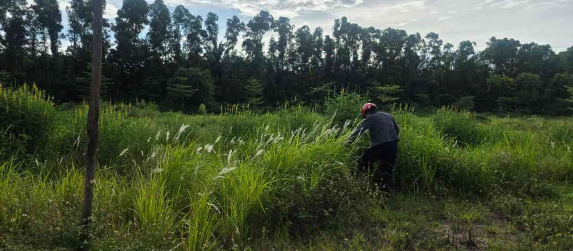 Bán đất Cửu Cao-Văn Giang, đất phân lô, đường rộng vỉa hè, Nhỉnh 1 tỷ.... Bán đất tại Phụng Công, Hưng Yên 01
