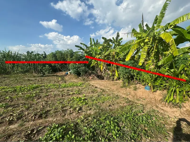 Đất ruộng rộng rãi tại Bình Trù, Thuận An, Gia Lâm giá hấp dẫn... Bán đất tại Thuận An, Hà Nội 01