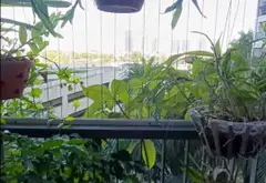 Căn hộ 2 phòng ngủ thoáng mát tại WestBay Ecopark... Bán căn hộ chung cư tại Phụng Công, Hưng Yên 13