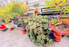 🏡 NHÀ 5 TẦNG TRẦN THỊ NĂM - HẺM 7M XE HƠI VÀO NHÀ - NGANG 5M - CHỈ 7.8TỶ TL
📍 Trung Mỹ Tây, Q12... Bán nhà riêng tại Trung Mỹ Tây, Hồ Chí Minh 08
