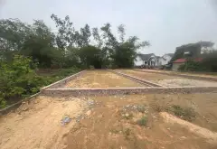 Sở hữu nhanh đất vàng Phú Hữu, cơ hội đầu tư siêu hời... Bán đất tại Kim Anh, Hà Nội 05