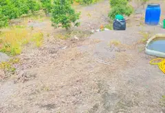 Bán đất mặt tiền kênh tại Bình Chánh, diện tích 1220m2... Bán đất tại Bình Lợi, Hồ Chí Minh 03