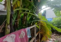 Nhà trong ngõ, ngách, hẻm - 151.3m² - An Lạc, Bình Tân, TP Hồ Chí Minh - 6 tỷ... Bán nhà riêng tại An Lạc, Hồ Chí Minh 04