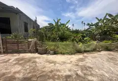 Cơ hội sở hữu đất trung tâm Bát Trang giá đầu tư không thể bỏ lỡ... Bán đất tại An Lão, Hải Phòng 02