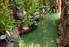 Bán nhà 8,5x30m ngay Nguyễn Thị Sáu, Hóc Môn... Bán nhà mặt phố tại Xuân Thới Sơn, Hồ Chí Minh 03