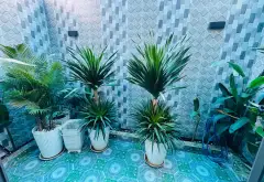 ☘️MẶT PHỐ 12M ĐỐI DIỆN TRƯỜNG HỌC - KHU PHÂN LÔ KINH DOANH NHIỀU LĨNH VỰC- NHÀ ĐẸP 5 TẦNG THANG MÁY... Bán nhà riêng tại Bình Trị Đông, Hồ Chí Minh 07