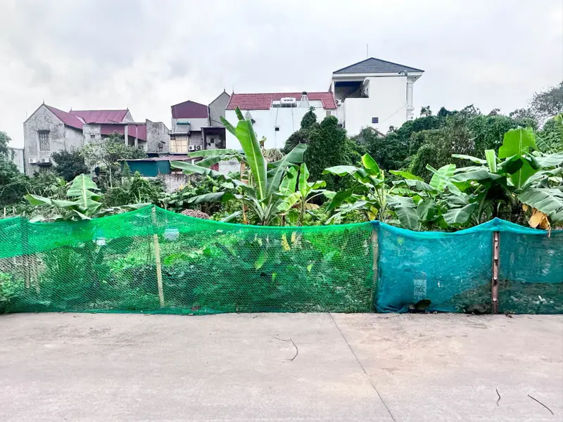 Đất Đẹp Sát Sườn Thông Thẳng Sang Vin,Cách Vin 2,3 100m-200m2- MT 9.5m -Ngõ 3 Ô Tô Tránh- Nhỉnh 15... Bán đất tại Văn Giang, Hưng Yên 01