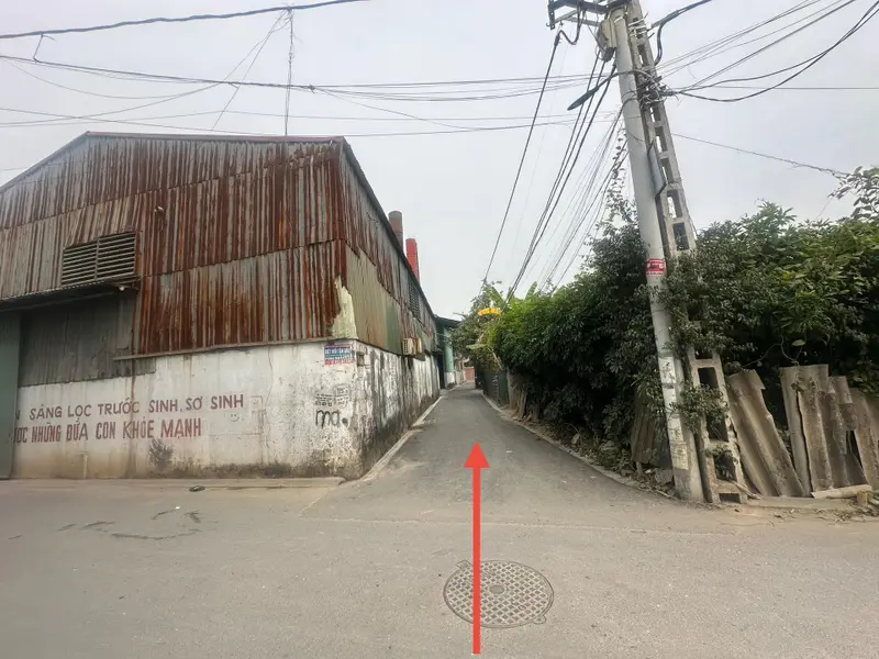 Bán đất thổ cư 50,5m2 tại Bến Trung, Bắc Hồng, Đông Anh... Bán đất tại Phúc Thịnh, Hà Nội 01