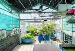 Nhà Tân Bình - Lạc Long Quân, 4 tầng ở ngay - CHDV …, ngang 4m - dài 14m - hơn 8 tỷ nhẹ.... Bán nhà riêng tại Tân Hòa, Hồ Chí Minh 03