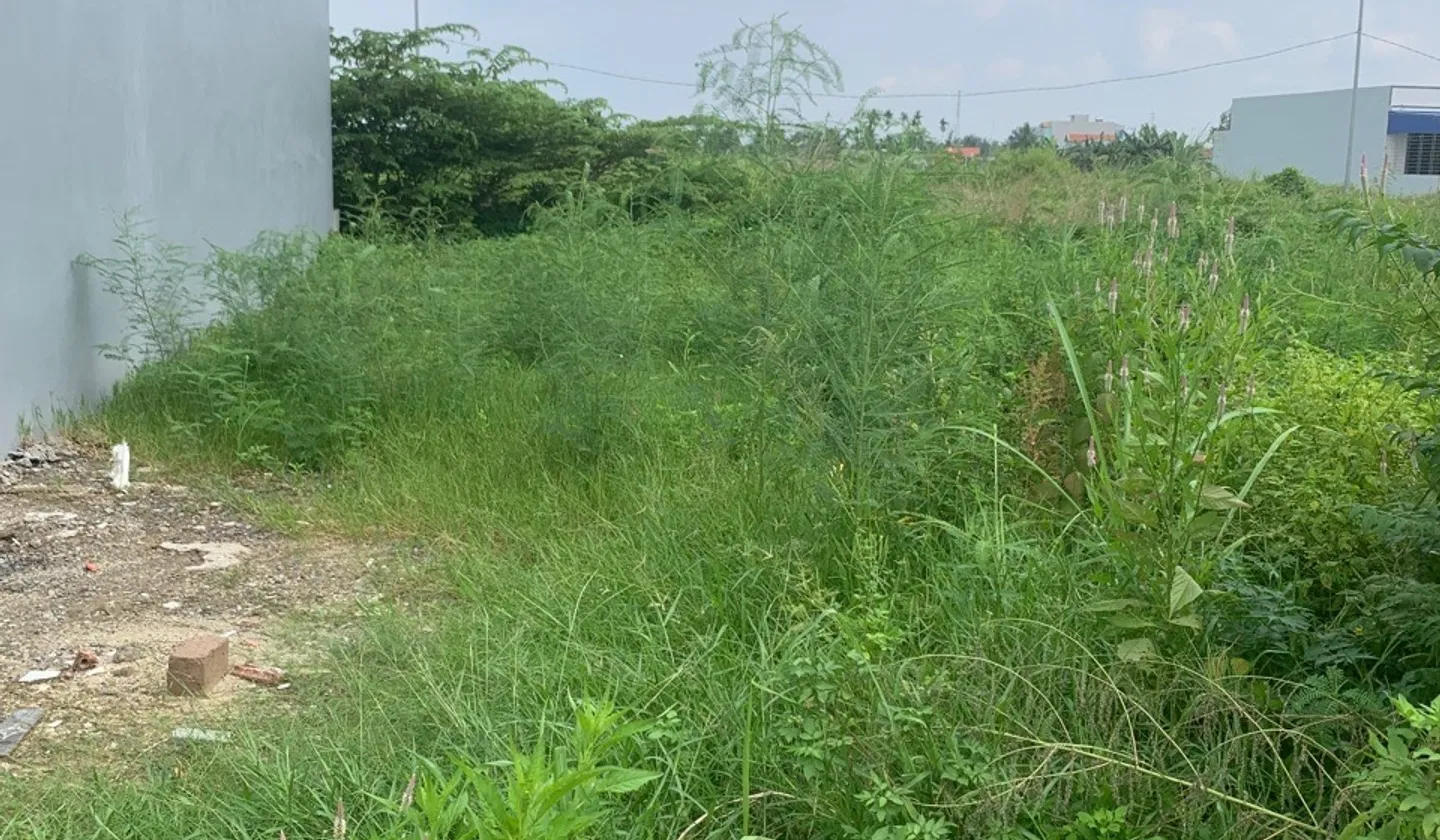Cơ hội hiếm có tại Thôn 5 Thủy Sơn - Đất nền sẵn sàng tăng giá theo nhịp phát triển thành phố... Bán đất tại Thủy Nguyên, Hải Phòng 01