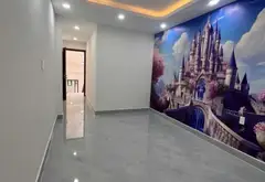 Mặt Tiền Kinh Doanh Trung Tâm Tân Phú - Trần Hưng Đạo , Luỹ Bán Bích - 4tầng sd 300m2 chỉ 17ty x... Bán nhà mặt phố tại Tân Sơn Nhì, Hồ Chí Minh 15