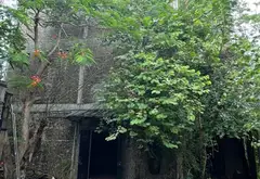 SIÊU PHẨM - HOMESTAY 3 TẦNG - VIEW SÂN GOLF, ÔTÔ 7 CHỖ VÀO TẬN NHÀ, GẦN ĐỀN GIÓNG SÓC SƠN... Bán nhà riêng tại Sóc Sơn, Hà Nội 16
