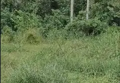 Cơ hội vàng sở hữu nhà mặt phố rộng gần 1.200m2 tại TP HCM với giá không thể tốt hơn... Bán nhà mặt phố tại Bình Lợi, Hồ Chí Minh 03