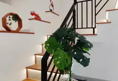 🔥 Bán Nhà HXH Bình Tiên-Phạm Văn Chí Quận 6, 41m², 2 tầng, sổ hồng riêng, hoàn công đủ,Nhỉnh 5 tỷ... Bán nhà riêng tại Bình Tiên, Hồ Chí Minh 03