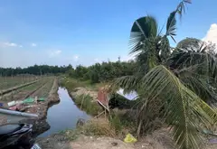 Đất rộng Kênh A - Bình Chánh giá tốt cho đầu tư... Bán đất tại Bình Lợi, Hồ Chí Minh 02