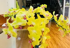 Nhà phố 5 tầng tại phường Dương Nội, Hà Nội, mặt tiền 5m phù hợp kinh doanh và cho thuê... Bán owner_side tại Dương Nội, Hà Nội 10
