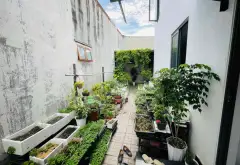 🌿 MỘT GÓC NHÀ VƯỜN YÊN BÌNH GIỮA THỚI TAM THÔN... Bán nhà riêng tại Đông Thạnh, Hồ Chí Minh 06