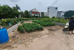 Bán đất thôn 7 Xuân Quan, Văn Giang, Hưng Yên - Đất kinh doanh, ô tô tải tránh, đầu tư tiềm năng... Bán đất tại Văn Giang, Hưng Yên 01