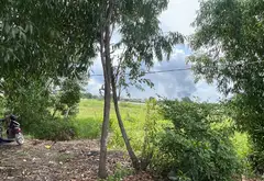 Bán đất mặt tiền đường Trần Hải Phụng, diện tích 1270 m2... Bán đất tại Tân Vĩnh Lộc, Hồ Chí Minh 02
