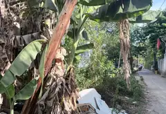 Cơ Hội Sở Hữu Lô Đất 3 Mặt Thoáng Hiếm Có Tại Khu Vực Trường Chinh... Bán đất tại Cẩm Lệ, Đà Nẵng 08