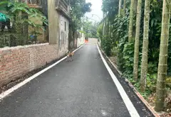 🔥 LÔ GÓC MỄ SỞ – 113M² – MT 6M – NHỈNH 3 TỶ 🔥

📐 Lô góc 2 mặt thoáng, ô tô vào tận đất... Bán đất tại Mễ Sở, Hưng Yên 05