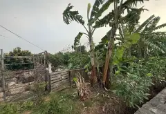 Cơ hội vàng sở hữu đất nông nghiệp trên trục đường Song Mai Đoài... Bán đất tại Sóc Sơn, Hà Nội 03