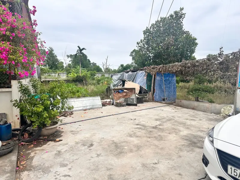 Đất Vàng Tiên Lãng - Cơ Hội Sinh Lời Không Thể Bỏ Lỡ... Bán đất tại Tiên Lãng, Hải Phòng 01