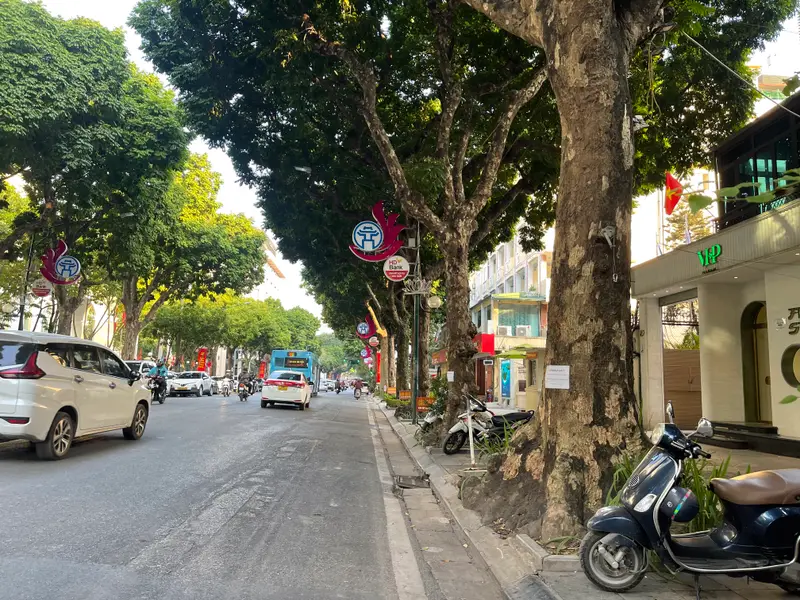 Siêu Phẩm Nhà Mặt Phố Trung Tâm Hai Bà Trưng - Diện Tích Vàng 320m2, Mặt Tiền 12m... Bán nhà mặt phố tại Hai Bà Trưng, Hà Nội 01
