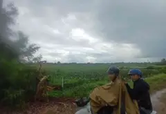 TRƯƠNG VĂN WA, ĐƯỜNG ĐÁ XANH XE TẢI TỚI ĐẤT
BÁN 1,846 CÔNG ĐẤT LUK GIÁ 5,5 TỶ CÒN THƯƠNG LƯỢNG MẠNH... Bán đất tại Bình Lợi, Hồ Chí Minh 04