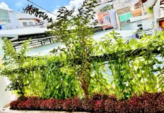 Bán nhà mặt phố phường 7 Tân Bình, mặt tiền 3.3m, phù hợp kinh doanh... Bán nhà mặt phố tại Tân Sơn Nhất, Hồ Chí Minh 05
