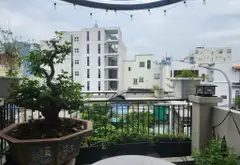 Bán nhà mặt phố 4 tầng diện tích 52m2 tại phường 2, Tân Bình, mặt tiền kinh doanh... Bán nhà mặt phố tại Tân Sơn Hòa, Hồ Chí Minh 07