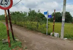 Đất rộng mặt tiền đường T11 Bình Chánh giá tốt... Bán đất tại Bình Chánh, Hồ Chí Minh 12