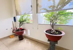 🏡 NHÀ 5 TẦNG TRẦN THỊ NĂM - HẺM 7M XE HƠI VÀO NHÀ - NGANG 5M - CHỈ 7.8TỶ TL
📍 Trung Mỹ Tây, Q12... Bán nhà riêng tại Trung Mỹ Tây, Hồ Chí Minh 14