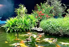 Nhà mặt phố đắt giá giữa trung tâm Gò Vấp với không gian rộng mở và tiềm năng đầu tư đỉnh cao... Bán nhà mặt phố tại An Hội Đông, Hồ Chí Minh 06