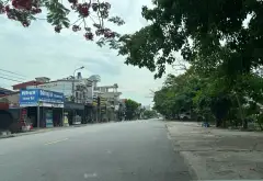 Bán đất mặt đường rộng 10m tại Hùng Thắng, Tiên Lãng, Hải Phòng, diện tích 137,7m2... Bán đất tại Hùng Thắng, Hải Phòng 05