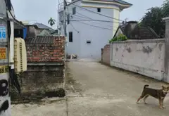 Bán đất diện tích 67,7m2 hướng Đông Nam tại Phường Thiên Hương, Hải Phòng... Bán đất tại Thiên Hương, Hải Phòng 07