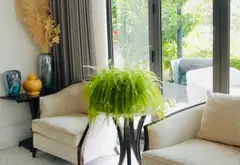 Biệt thự sang trọng ven sông tại Phúc Lợi, không gian sống đẳng cấp... Bán biệt thự, liền kề tại Phúc Lợi, Hà Nội 12