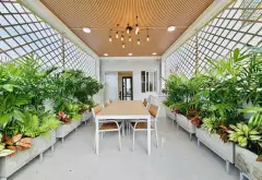 Nhà phố đẳng cấp Quang Trung, 6 tầng tiện nghi đầy đủ... Bán nhà riêng tại Thông Tây Hội, Hồ Chí Minh 16