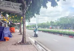 Nhà mặt phố Phạm Văn Đồng, giá hời cho chủ đầu tư thông thái... Bán nhà mặt phố tại Bình Lợi Trung, Hồ Chí Minh 08