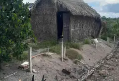 Bán đất 1000m2 mặt tiền 11m tại xã Bình Lợi, Bình Chánh giá 3 tỷ... Bán đất tại Bình Lợi, Hồ Chí Minh 03