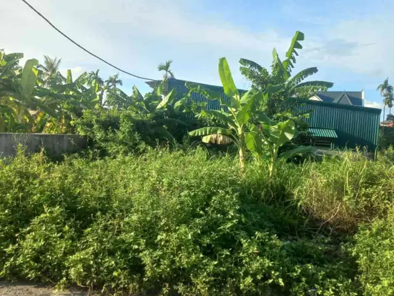 Đất nền thửa đẹp tại xã Kiến Quốc, Kiến Thụy với ngõ thông rộng ô tô đi qua... Bán đất tại Kiến Thụy, Hải Phòng 01