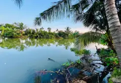 Đất đẹp An Trường, ngõ thông, giá hợp lý... Bán đất tại An Lão, Hải Phòng 01