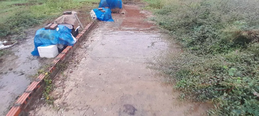 Bán đất thổ cư 80.3m² mặt tiền 5m tại xã Phù Linh, tiềm năng tăng giá cao... Bán đất tại Sóc Sơn, Hà Nội 01