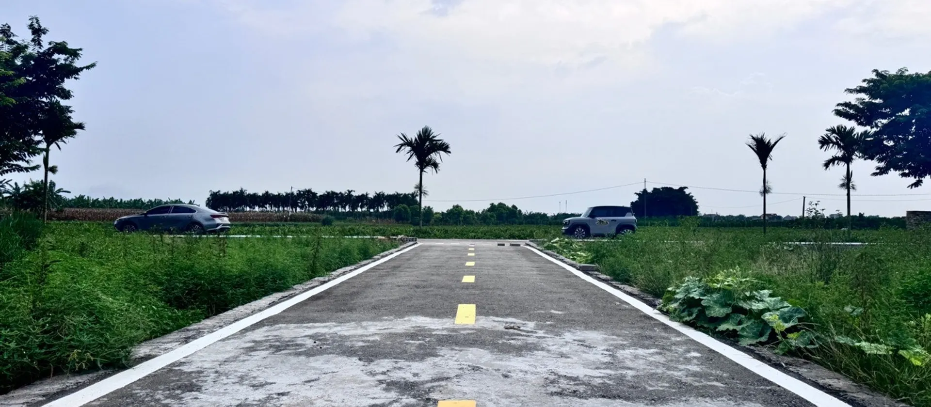 Bán đất phân lô xã Triệu Việt Vương, Hưng Yên, diện tích 63.2 m2, pháp lý rõ ràng... Bán đất tại Triệu Việt Vương, Hưng Yên 01