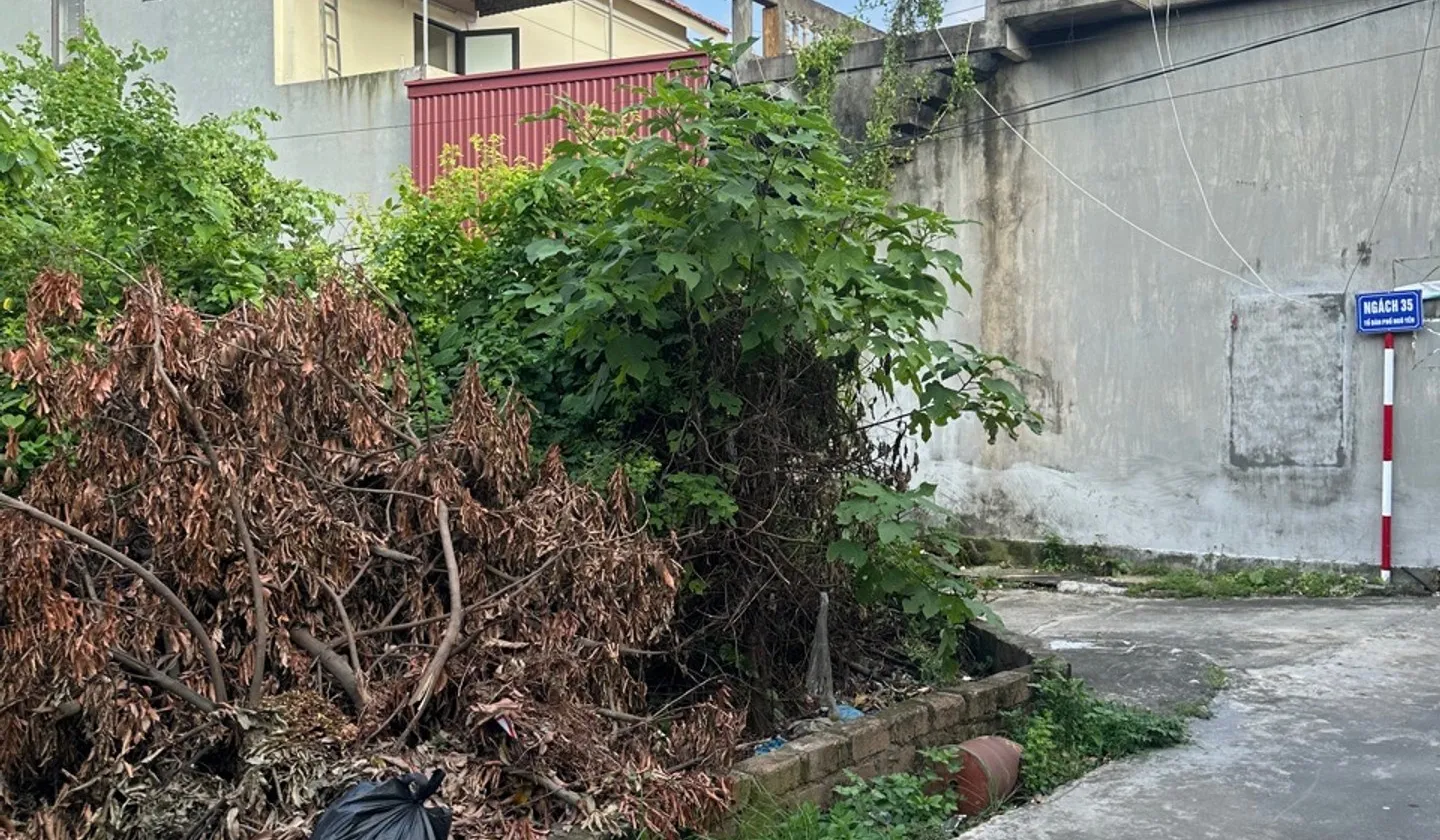 Lô đất Phường Hồng An hướng Tây Bắc, phù hợp xây dựng kinh doanh và an cư... Bán đất tại Hồng An, Hải Phòng 01