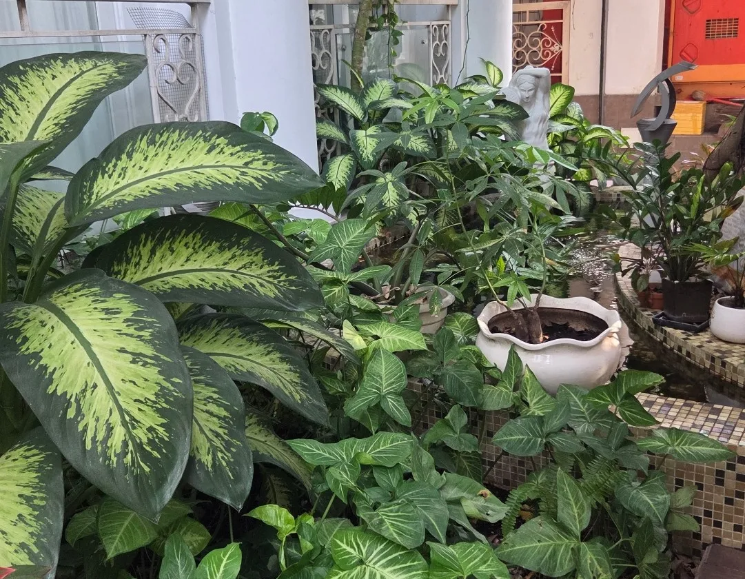 Bán khách sạn 4 sao 9 tầng có hồ bơi tại Phường 10, Phú Nhuận... Bán bất động sản khác tại Phú Nhuận, Hồ Chí Minh 01